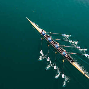 Four male athletes sculling on lake in sunshine.