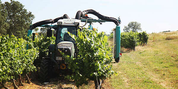 Vineyard spraying machine.